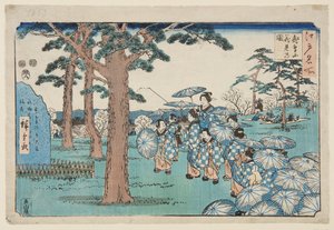 Visning av körsbärsblommor på Asuka Hill (Asukayama hanami no zu) (träblock i färg)