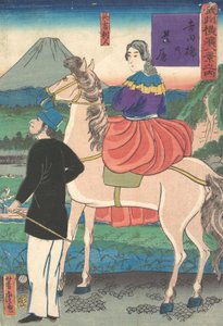 Twilight, tittar på vilda gäss som flyger ner mot Yoshida-bron, januari 1861. av Utagawa Yoshitora