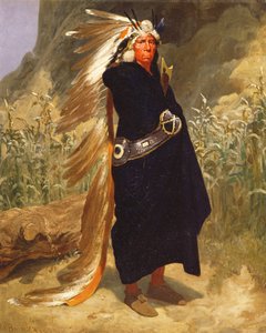 Porträtt av en indianhövding, 1875