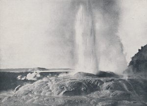 Geyser, Nya Zeeland, 1924 av Valentine and Sons Ltd