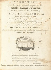 Berättelse om en femårig expedition mot de upproriska negrerna i Surinam, i Guyana, på Sydamerikas vilda kust (volym II) av Various Artists, including William Blake, after John Gabriel Stedman