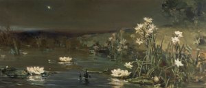 Stjärna i natten