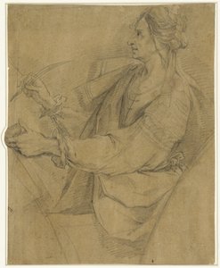 sibylla