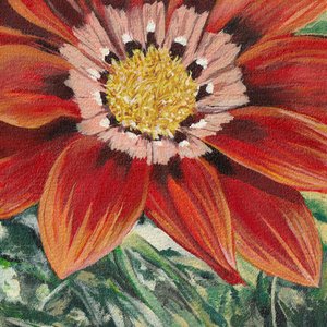 Ljus orange blomma