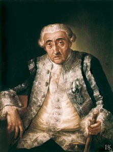 Porträtt av Cayetano de Urbina y Ortiz de Zarate, ca. 1801 (olja på duk)