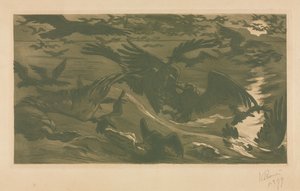 Rovfåglar, 1893.