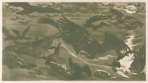Rovfåglar, 1893.