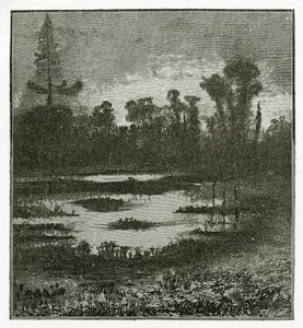 Les Chants du Crépuscule, 1800-talet (bw gravyr) av Victor Hugo
