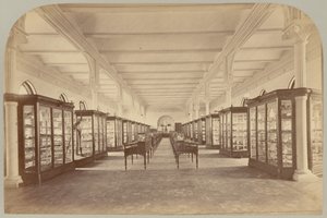 Pl. V. Övre berättelse: Fossiler