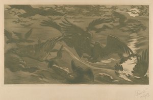 Rovfåglar, 1893.