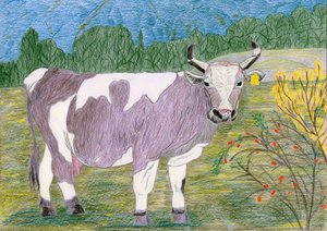 Spotted Cow-betesmark