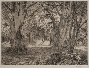 Det inre av en skog av Vilhelm Kyhn