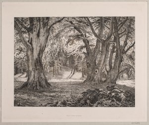 Det inre av en skog av Vilhelm Kyhn