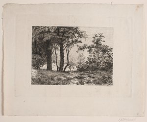 Ekar i kanten av en skog