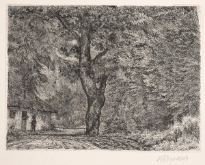 Huset i skogen