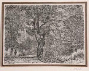 Huset i skogen
