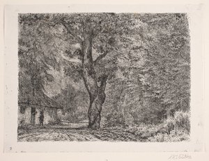 Huset i skogen