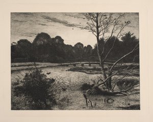 Solnedgång i en skog av Vilhelm Kyhn