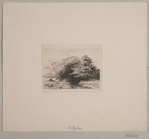 Kanten av en skog av Vilhelm Kyhn