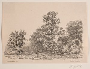 Kanten av en skog av Vilhelm Kyhn