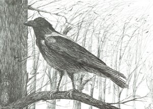 Fågel, 2011 av Vincent Alexander Booth