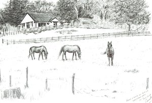 Hästar på toppen av banan, 2008 (bläck på papper) av Vincent Alexander Booth