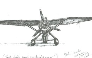 Lysander på Old Warden, 2012 av Vincent Alexander Booth