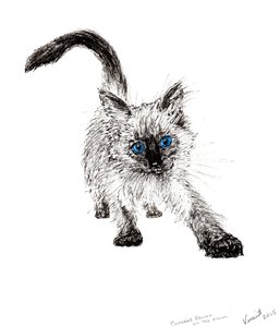 On the prowl !, 2015, (bläck på papper) av Vincent Alexander Booth