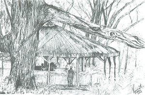 Utomhusbar, sjön Naivasha, 2006; (bläck på papper) av Vincent Alexander Booth
