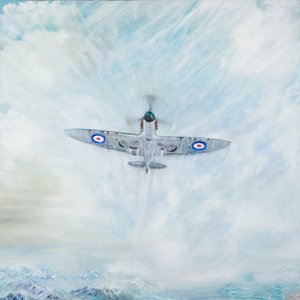 Spitfire Spader ess, 2016, av Vincent Alexander Booth