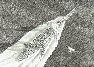Storm Creators Cape Canaveral, 2022 av Vincent Alexander Booth