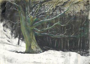 Träd i vintersnö vid Osmotherley woods av Vincent Alexander Booth