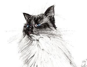 Varför? 2016, (bläck på papper) av Vincent Alexander Booth