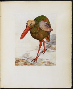 Great Skull-Headed Stone Trot, från "The Google Book" av Vincent Cartwright Vickers av Vincent Cartwright Vickers