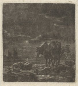 swedish av Vincent Laurensz. van der Vinne (II)