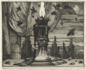 Flugor attraheras av ljuset från ett ljus