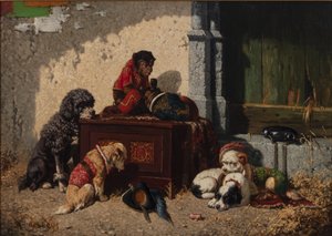 Cirkuskompanjoner av Vincent de Vos