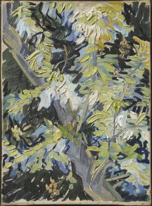 Acacia en fleur - Acacia Flowering, av Gogh, Vincent, van (1853-1890). Olja på duk. Mått: 33x24 cm. Nationalmuseum Stockholm av Vincent van Gogh
