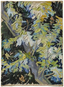 Blommande akacia av Vincent van Gogh