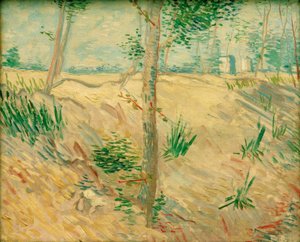 Trädstammar i solljuset av Vincent van Gogh