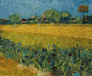 Vy över Arles med irisblommor i förgrunden