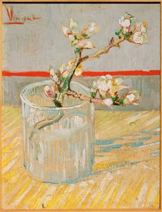 Blommande mandelgren i ett glas, mars 1888 (målning på duk) av Vincent van Gogh