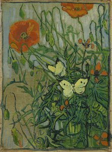Fjärilar och vallmo av Vincent van Gogh