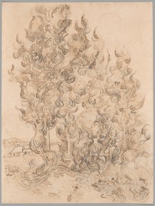 Cypresser av Vincent van Gogh