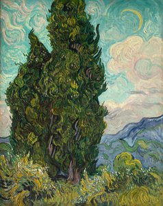 Cypresser av Vincent van Gogh