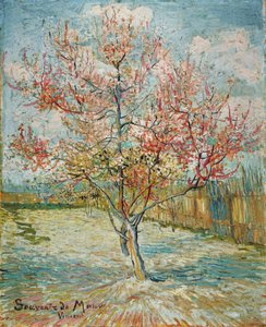 Blommande persikoträd av Vincent van Gogh