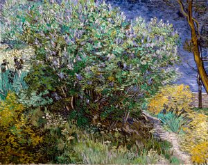 Syrenbusken. Vincent VAN GOGH (1853-1890) av Vincent van Gogh