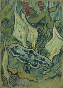 Den stora gröna påfågeln (dödens huvudsfinx) - Målning av Vincent van Gogh (1853-1890), olja på duk (33,5x24,5 cm) av Vincent van Gogh