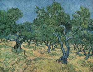 Olivlund av Vincent van Gogh