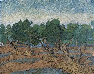 Olivlund av Vincent van Gogh